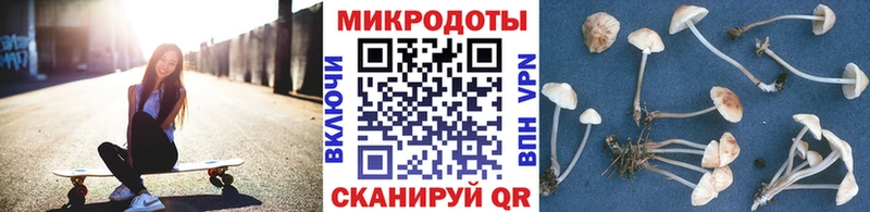 Галлюциногенные грибы мухоморы Людиново