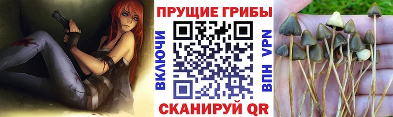 Псилоцибиновые грибы прущие грибы  Людиново 
